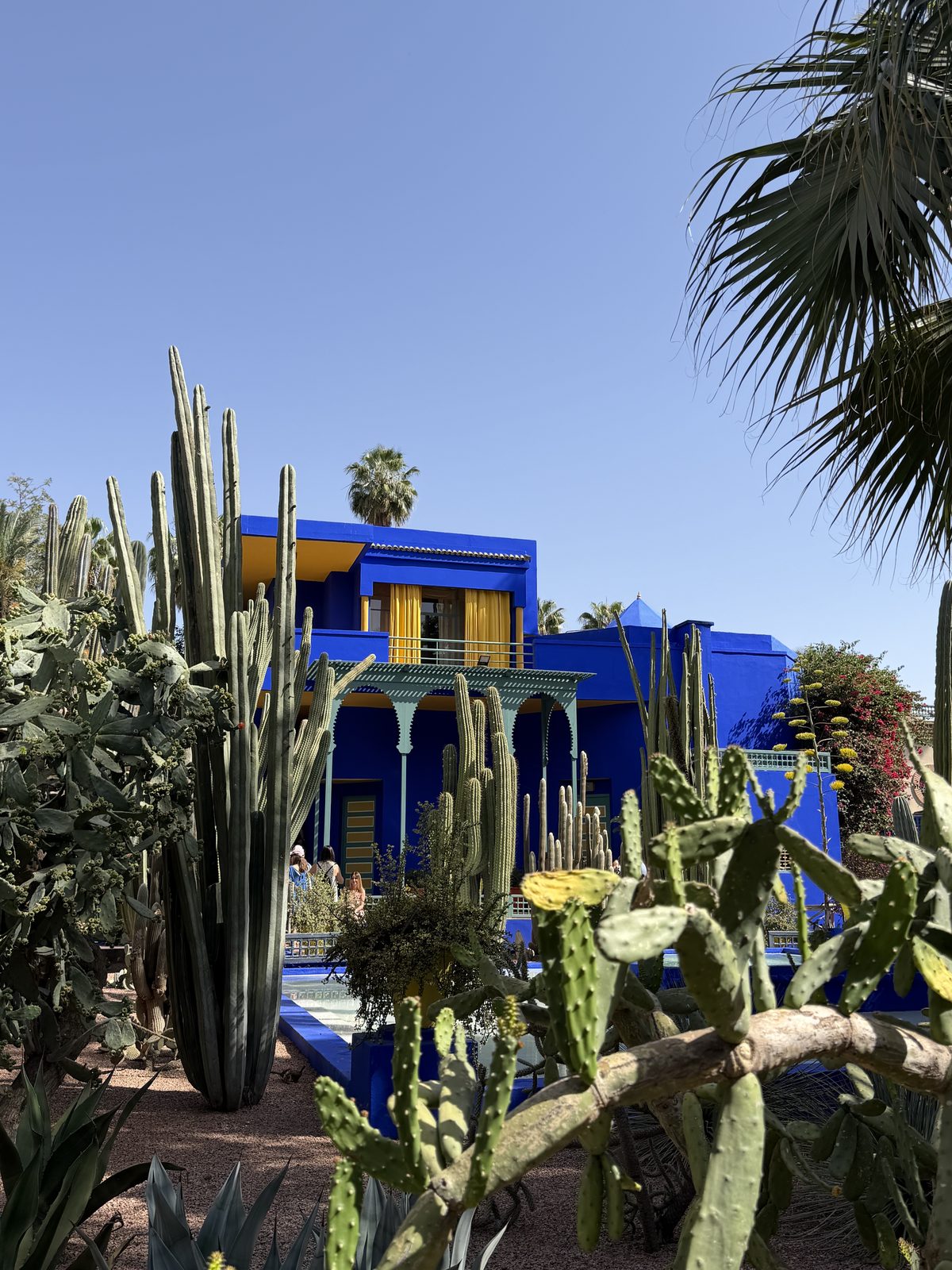 Le bleu emblématique du Jardin Majorelle à Marrakech